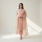 3 Pcs Zarmina Women’s Organza Embroidered Stitched Suit with Border Dupatta